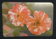GROßES MOTIV PLATZDECKCHEN, Kunststoff / Plastik, Rechteckige Form Nelken Blumen Motiv Dekor (G)